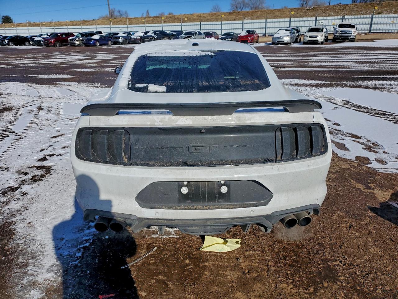 2019 FORD MUSTANG
