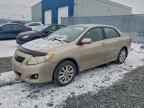 2009 TOYOTA COROLLA