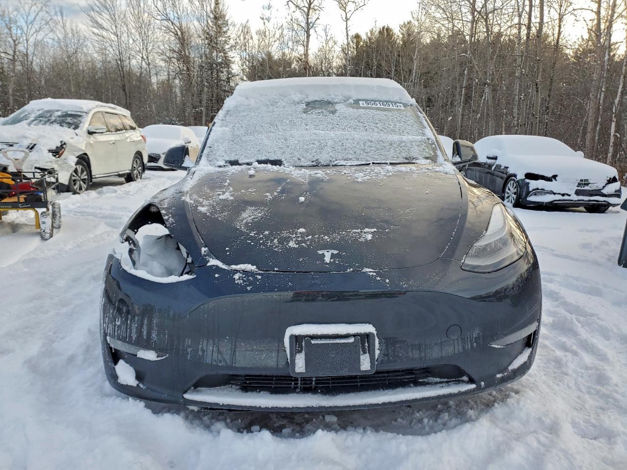 2025 TESLA MODEL Y