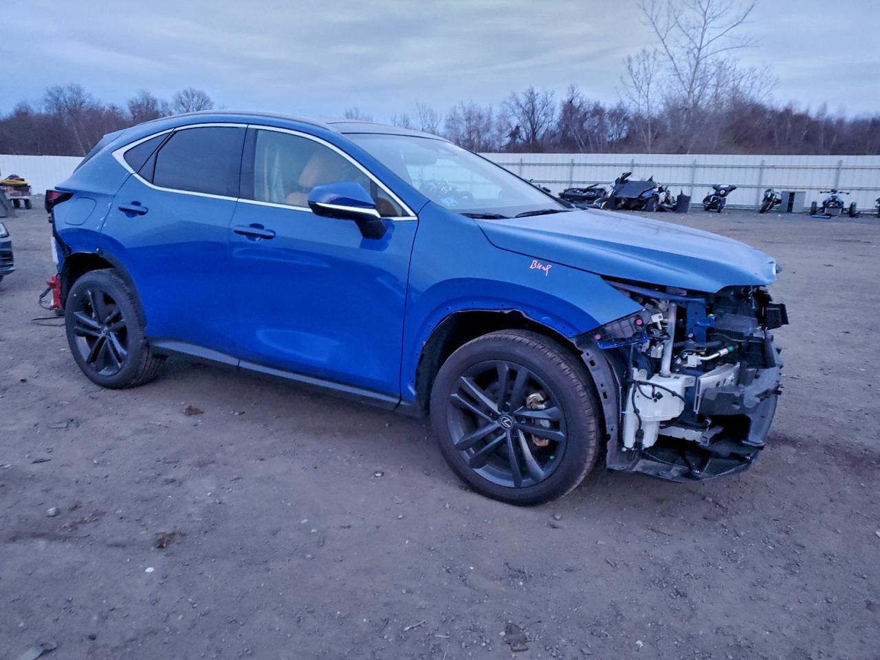 2025 LEXUS Nx