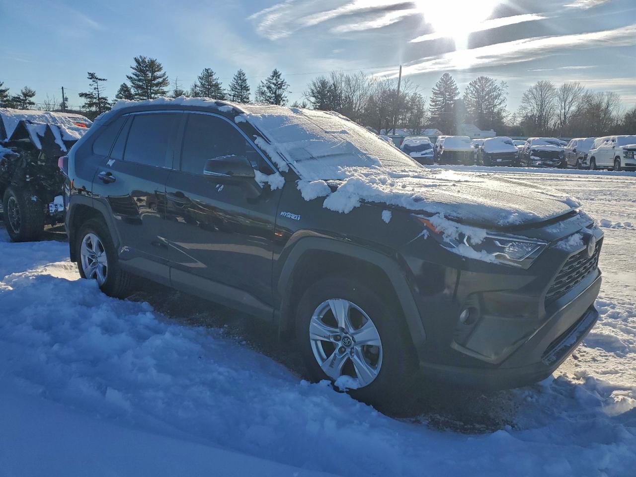 2019 TOYOTA RAV4