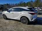 2023 LEXUS RX 350