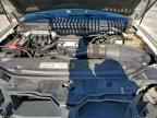 2005 LINCOLN Navigator