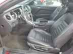 2013 FORD MUSTANG