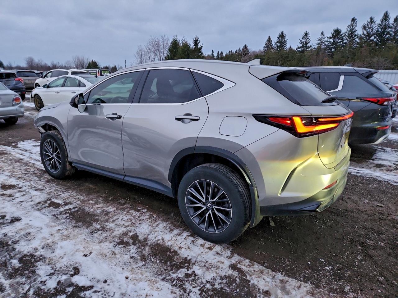 2022 LEXUS NX 250