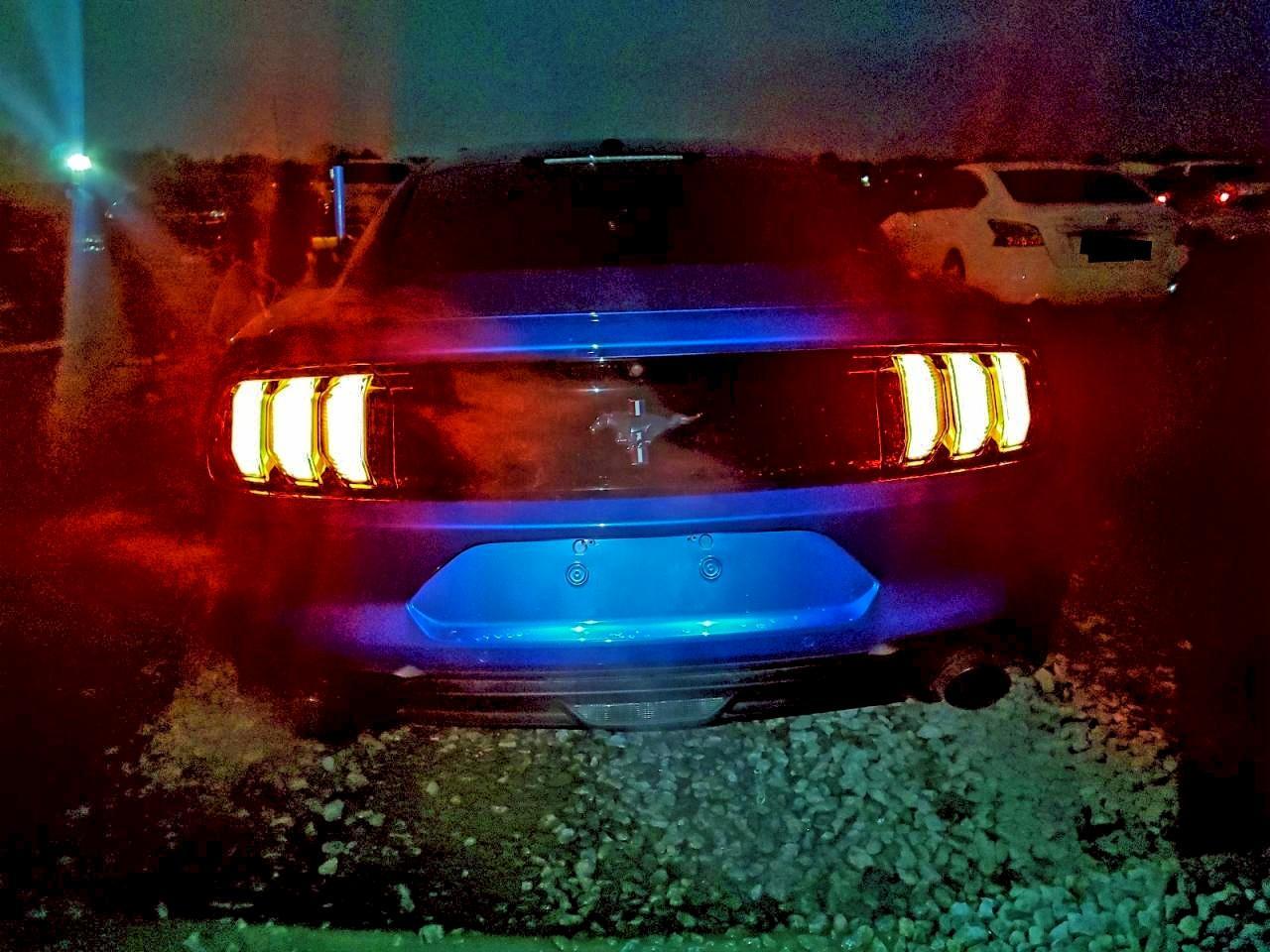 2019 FORD MUSTANG