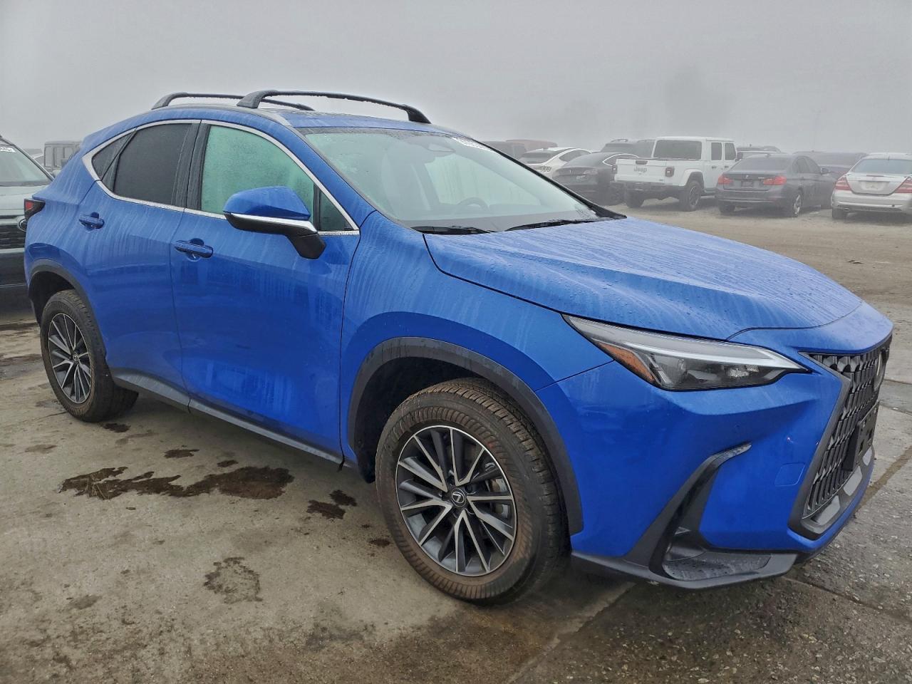 2025 LEXUS NX 250