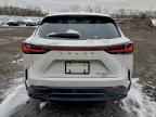 2025 LEXUS Nx