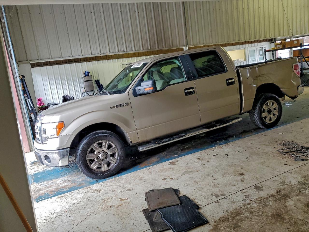 2009 FORD F-150