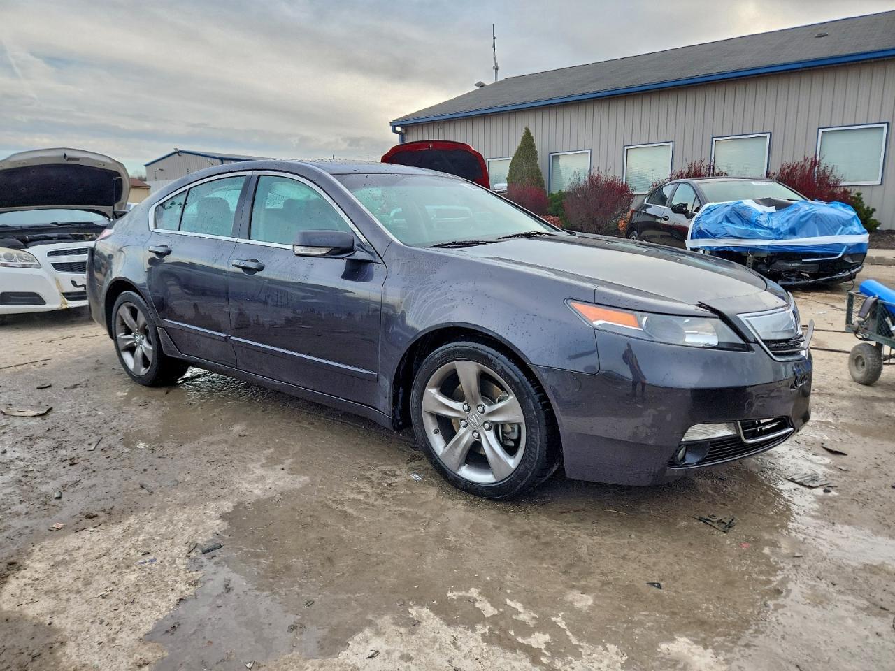 2014 ACURA TL