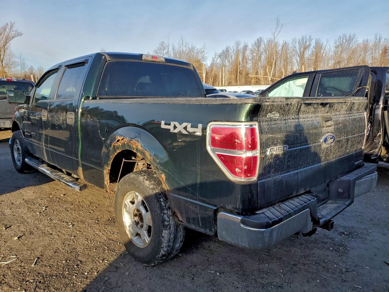 2013 FORD F-150