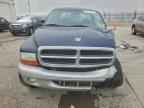 2003 DODGE Dakota