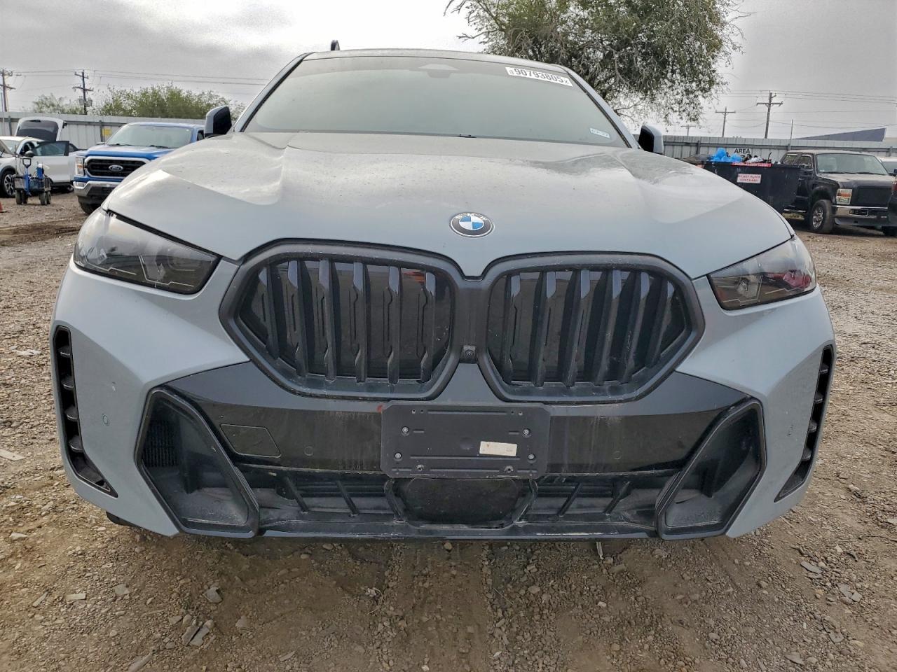 2025 BMW X6