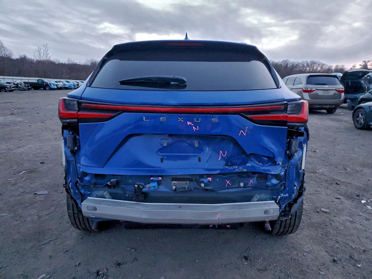 2025 LEXUS Nx