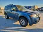 2012 FORD Escape Hybrid
