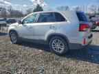 2014 KIA SORENTO