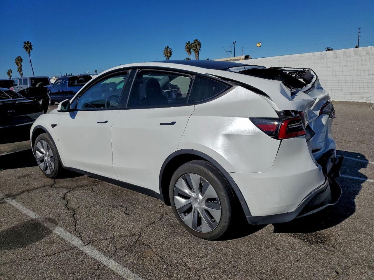 2024 TESLA MODEL Y