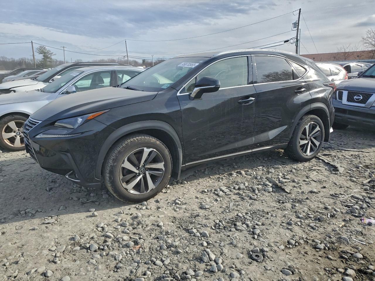 2019 LEXUS NX 300