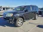 2009 HONDA PILOT