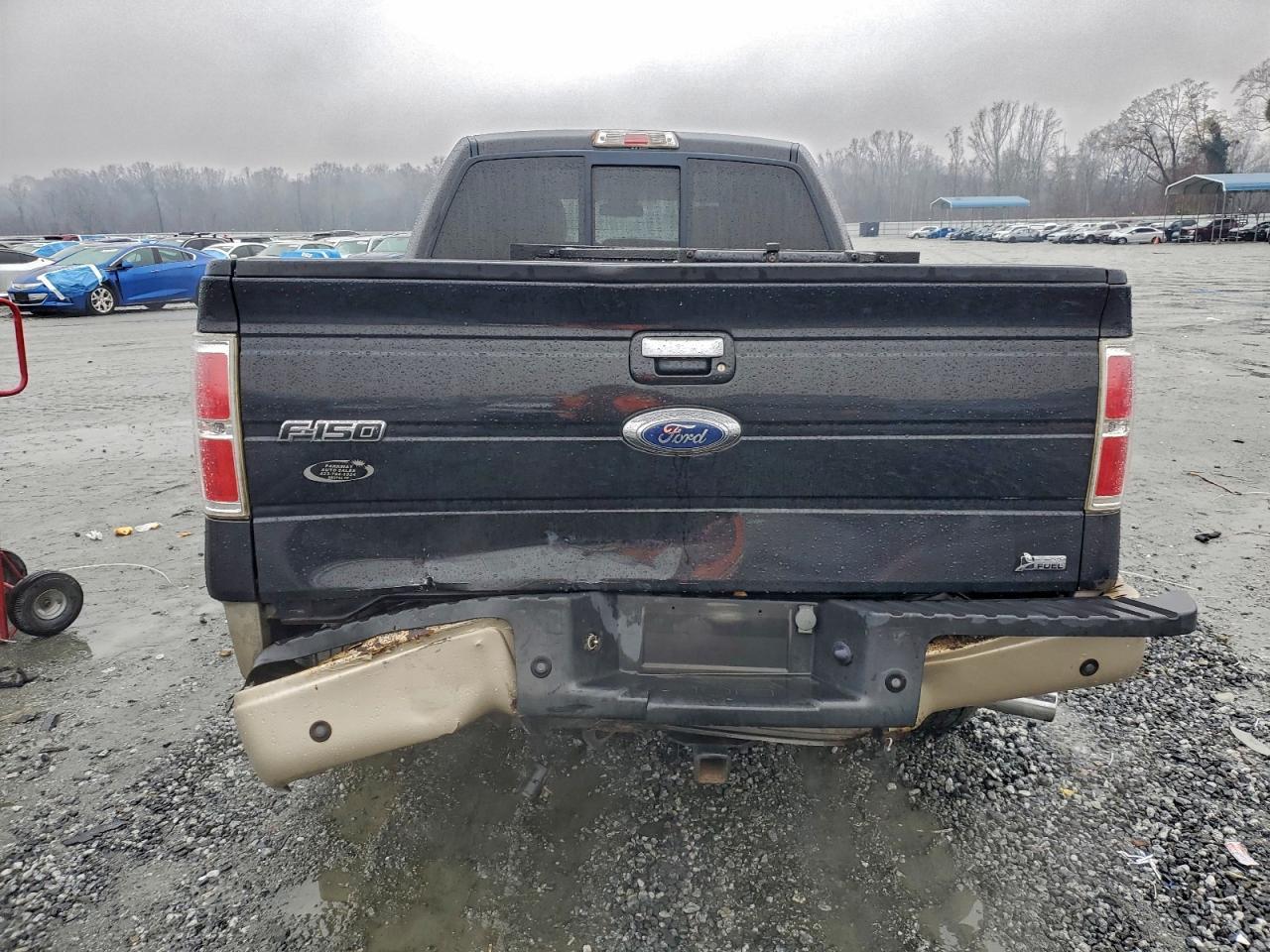 2010 FORD F-150