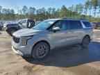 2026 KIA Carnival
