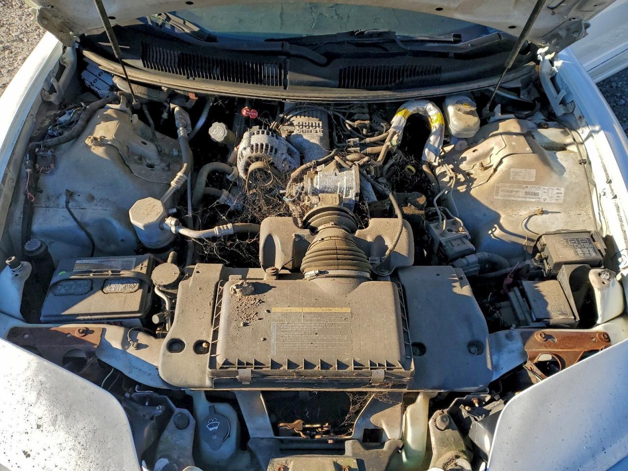 2002 PONTIAC Firebird
