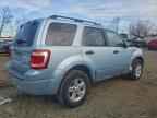 2008 FORD ESCAPE