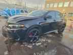 2024 DODGE Hornet