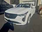 2023 CADILLAC CT4