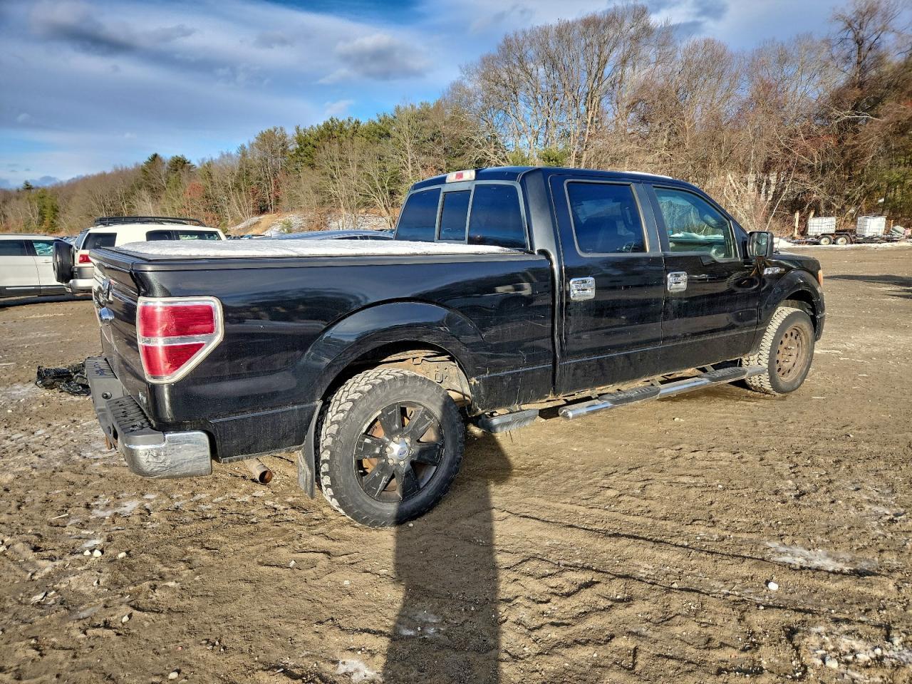 2010 FORD F-150