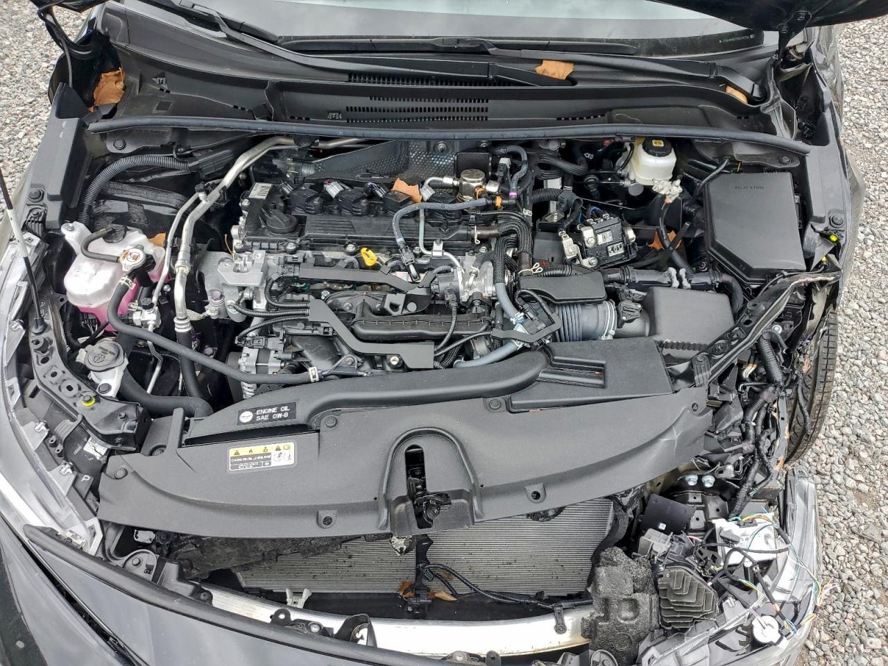 2025 TOYOTA COROLLA