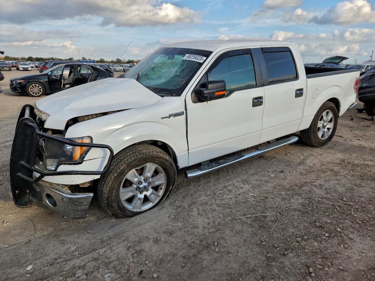 2010 FORD F-150