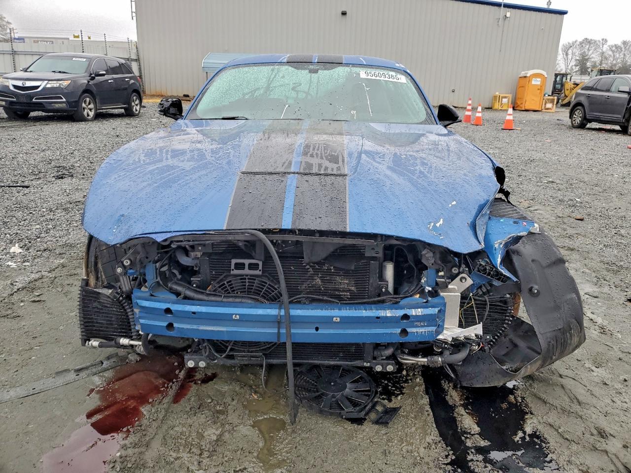 2019 FORD MUSTANG