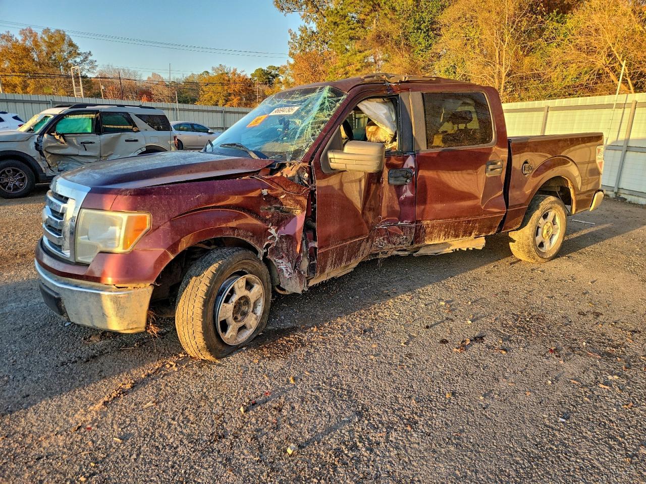 2009 FORD F-150