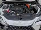 2025 LEXUS Nx
