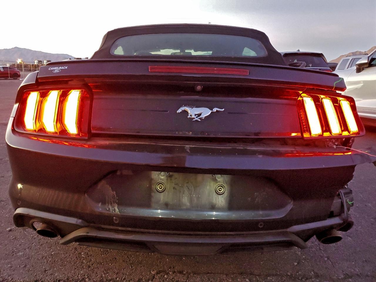 2019 FORD MUSTANG
