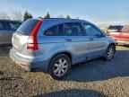 2009 HONDA CR-V