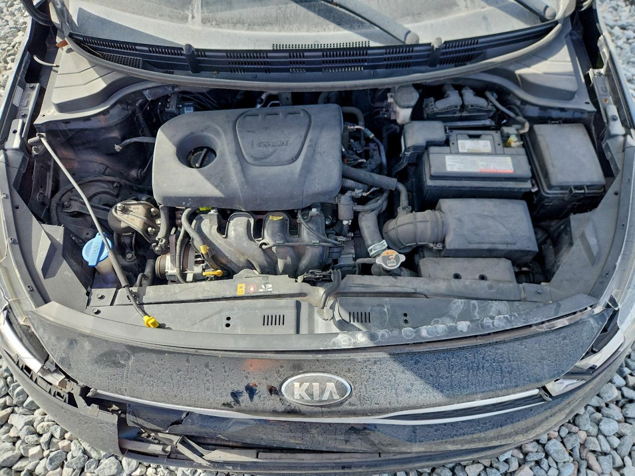 2019 KIA RIO