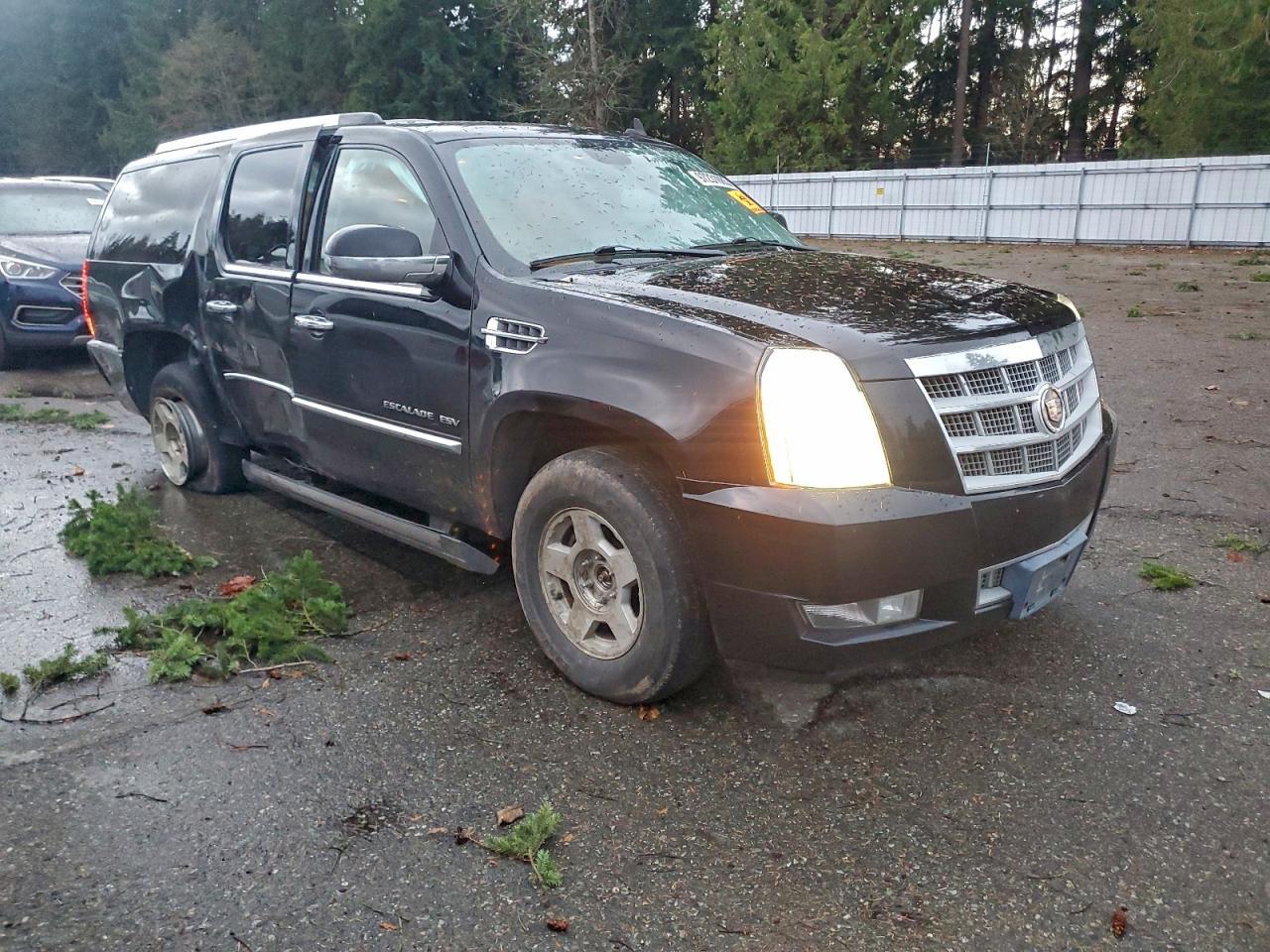 2013 CADILLAC Escalade ESV
