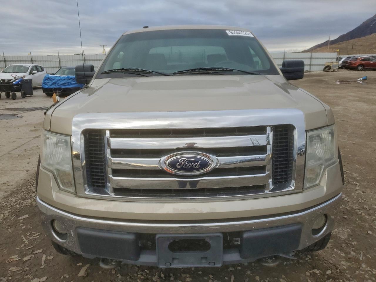 2009 FORD F-150
