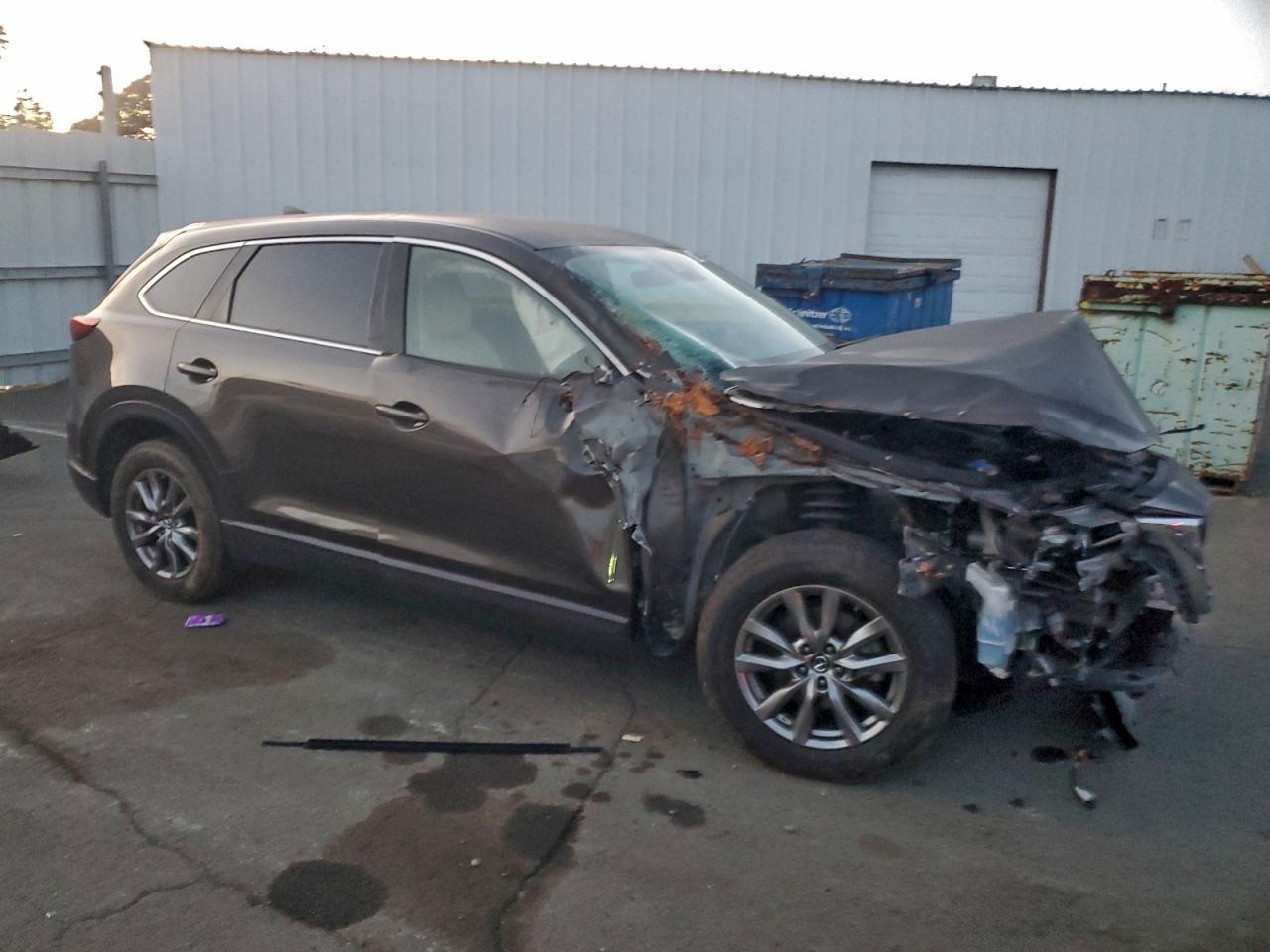 2019 MAZDA CX-9