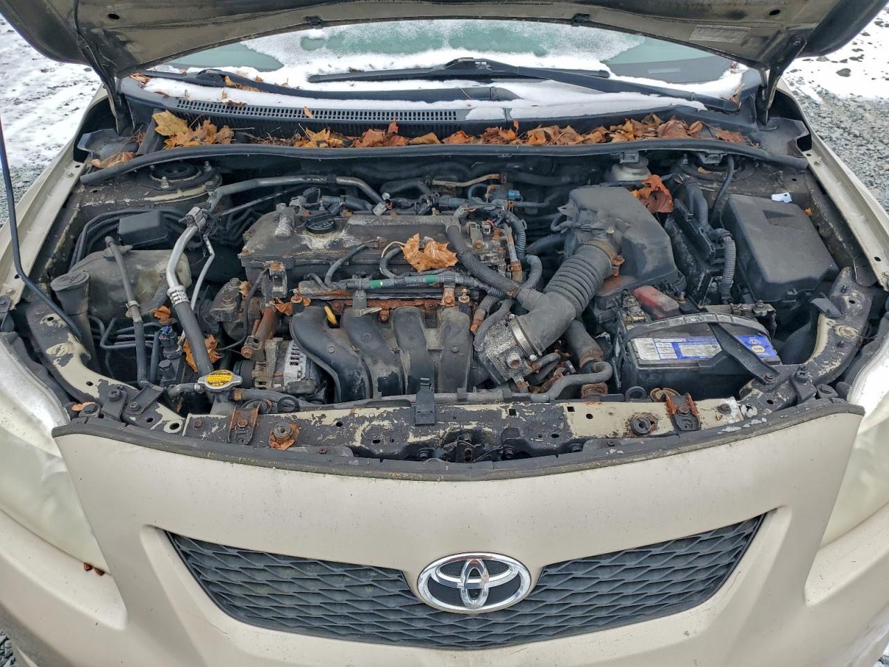 2009 TOYOTA COROLLA