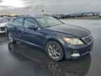 2009 LEXUS LS 460