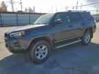 2023 TOYOTA 4Runner