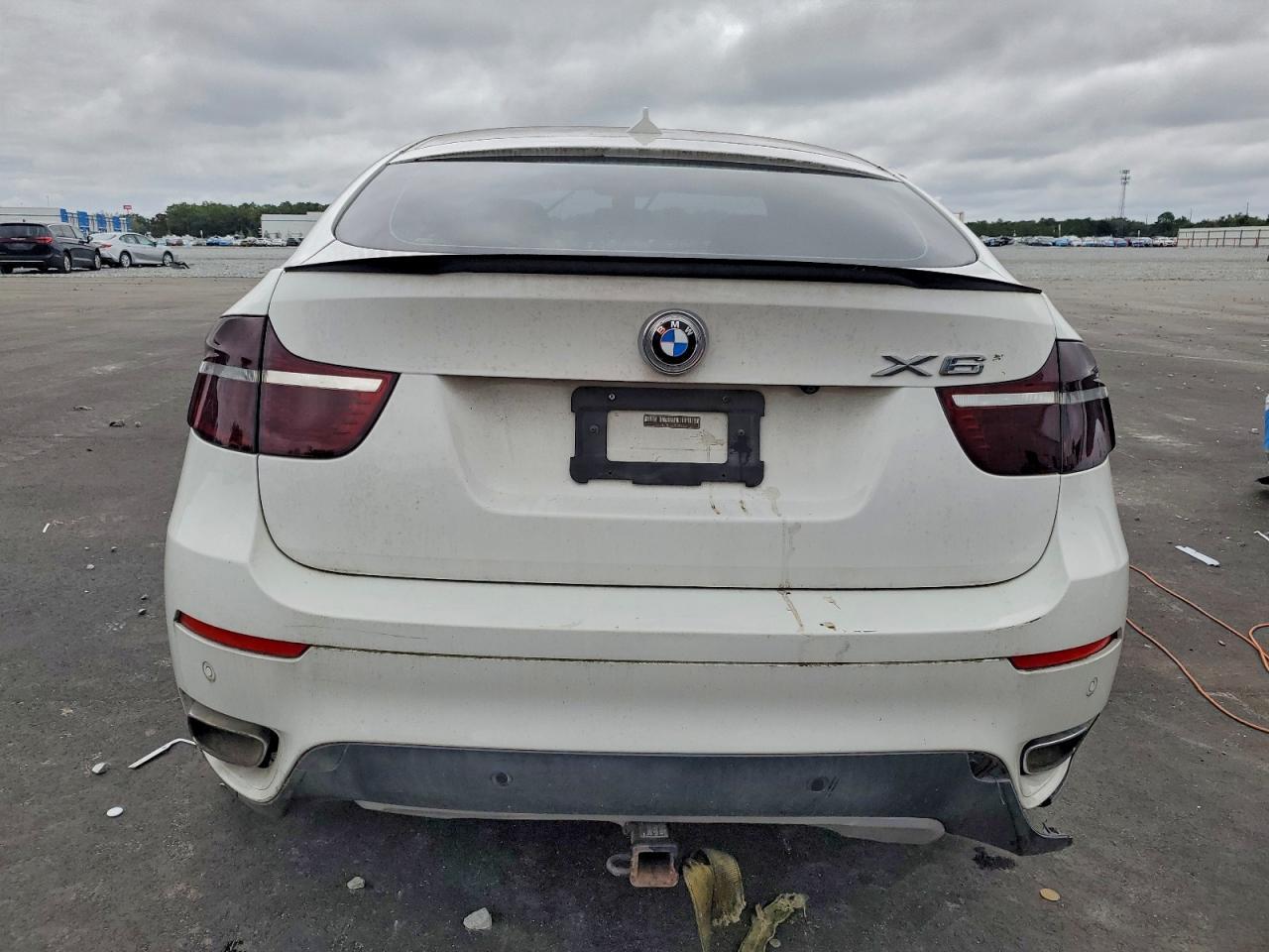 2010 BMW X6