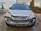 2010 HONDA CR-V