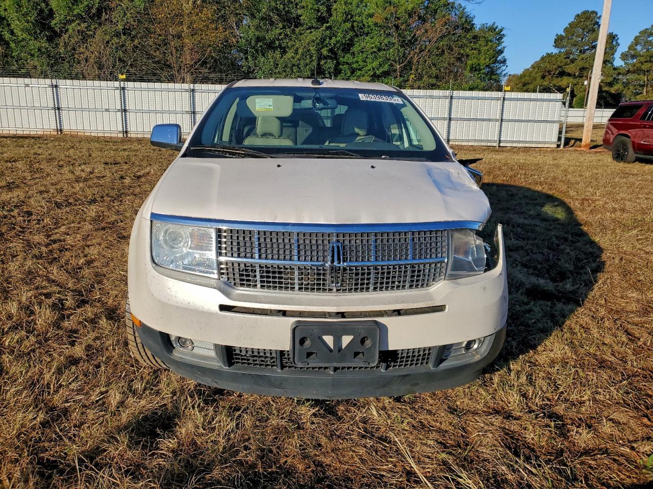 2010 LINCOLN MKX