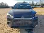 2025 LEXUS TX 350