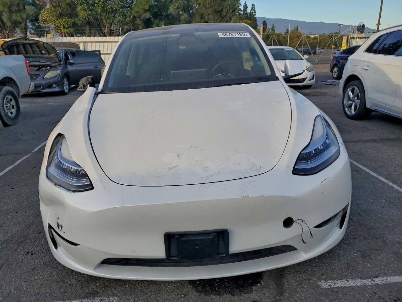 2021 TESLA MODEL Y