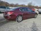 2010 HONDA ACCORD